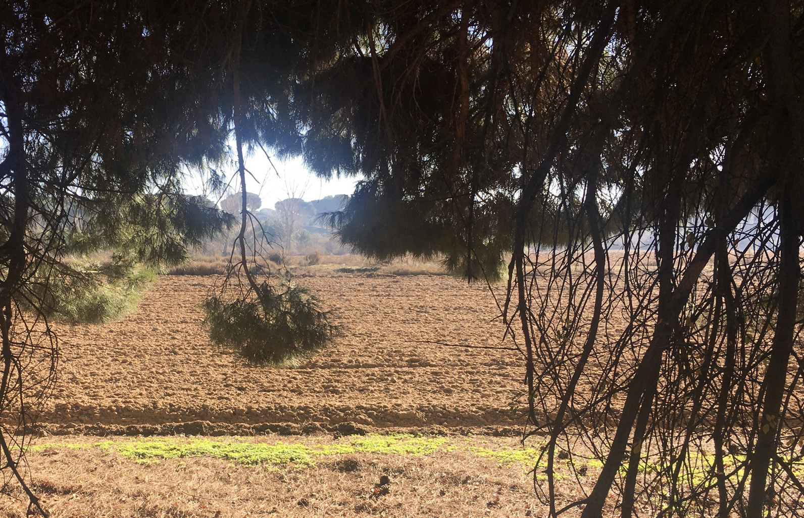 agricultura conservación avac