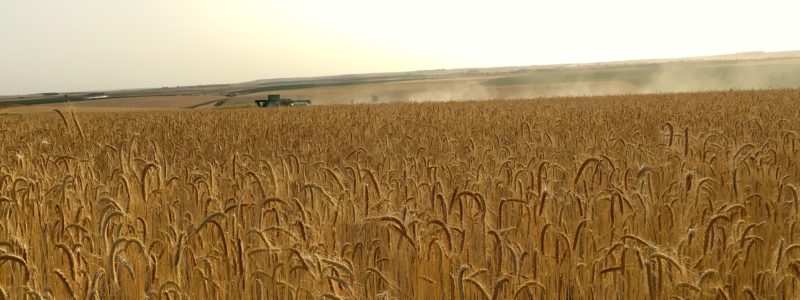 ALGUNOS PUNTOS DE VISTA PARA LA AGRICULTURA DE CONSERVACIÓN